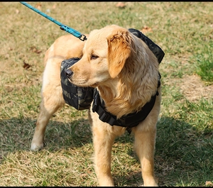 Tactical dog backpack harness with side pouches in dark camo on golden retriever
