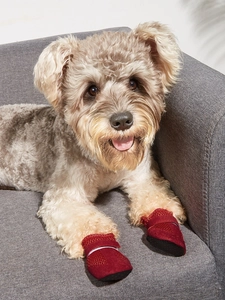Detail of red mesh dog sneaker with adjustable velcro strap on a pet's paw