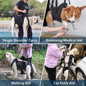 Adjustable support harness for elderly dog rehabilitation, walking, and car lift assistance
