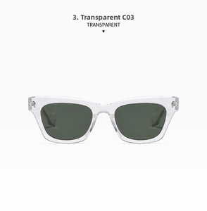 Detail view of the transparent cat eye sunglasses with metal hinge accents and C03 lenses