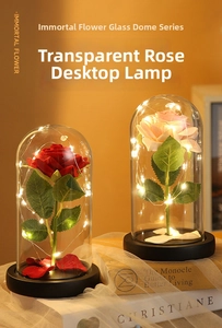 Detail of eternal rose in a glass dome with warm LED fairy lights on a wooden base