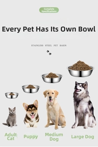 Comparison of four sizes of stainless steel pet bowls for cats and large dogs