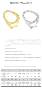 Size chart for irregular S925 sterling silver ring showing diameters and circumferences