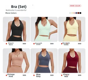 Ensemble de soutiens-gorge de sport dos nu sans couture en six coloris pour fitness et yoga