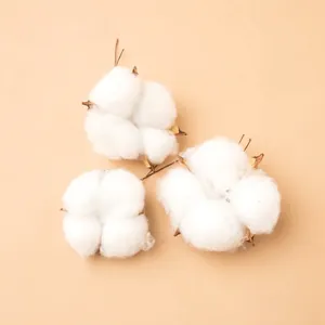 Tre fiori di cotone naturale essiccati su sfondo marrone per decorazioni natalizie fai da te