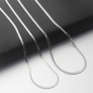 Minimalist silver titanium steel snake bone chain necklace set for men and women