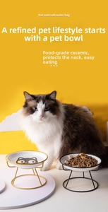 Keramik Katzennäpfe mit Metallständer und Ragdoll-Katze für ergonomisches Fressen