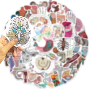 Detailed close-up of a brain anatomy sticker with English medical terminology