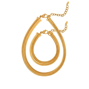 Exaggerated Thick Wide Snake Chain Necklace And Bracelet Jewelry Titanium Steel 18K Gold Plated Fashion For Women