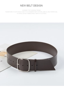 Detail of dark brown leather wide belt with polished silver square metal pin buckle