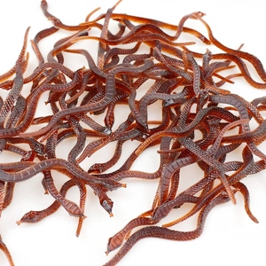 Detailed top view of realistic brown soft plastic earthworm fishing lures on white background