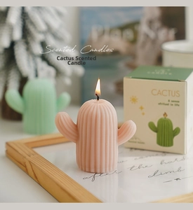 Gros plan d'une bougie parfumée cactus rose allumée sur plateau avec boîte cadeau