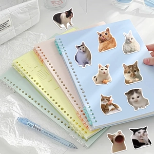 50 pieces of funny meme cat graffiti stickers for laptop decoration and scrapbooking