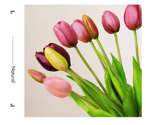 Close-up of soft touch PU tulips in pink and purple colors for home wedding decor