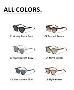 Detailed overview of six stylish retro TR90 sunglasses in various frame colors and tints