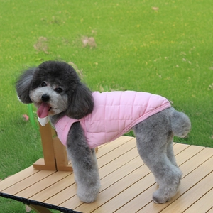 Close-up of pink quilted dog vest with diamond stitching on a small grey poodle