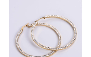 Detailed view of gold plated hoop earrings with micro-pave crystal zircons