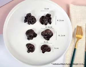 Detailed comparison of realistic PVC black fungus pendant sizes on white ceramic plate