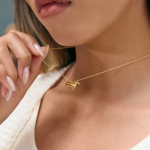 18K goud vergulde roestvrijstalen ketting met teckel hond hanger voor dames