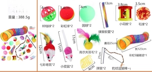 Détails du kit de 22 jouets pour chats incluant tunnel coloré et baguettes à plumes