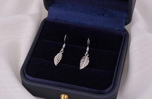 Detailansicht eleganter silberner Blattohrringe in einer blauen Schmuck-Geschenkbox