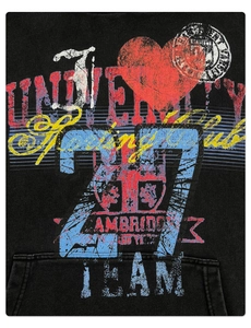 Detailaufnahme des Vintage-Uni-Prints auf dem schweren Baumwoll-Streetstyle-Hoodie
