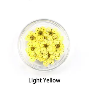 Macro view of 20pcs light yellow dried flower petals for nail art in a round container