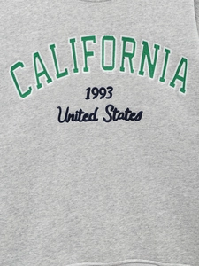 Gros plan de la broderie California 1993 sur un sweat à capuche gris avec détails fins