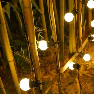 Detail of warm white solar G50 globe string lights hanging in a garden outdoor bamboo setting