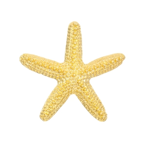 Elegant gold starfish brooch with textured surface for women's ocean style fashion