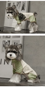 Dog jumpsuit with outdoor backpack detail and contrasting beige and green colors
