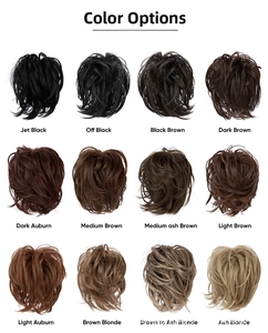 Hair bun extension color chart featuring 12 diverse shades from jet black to blonde tones