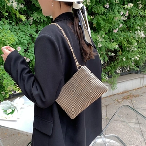 Champagne rhinestone mesh shoulder bag with fine gold chain strap for women
