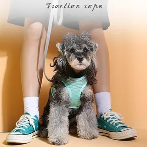 Hundegeschirr-Set in Mintgrün mit Leine und Reflektorstreifen für kleine Hunde