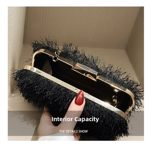 Detail view of the fringe evening clutch interior capacity and gold metal frame