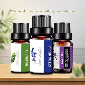 Aromatherapy Essential Oil Water Soluble Pure Plant Fragrance For Humidifier Diffuser Home Office Air Freshener Glass Bottle