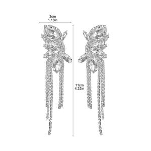 Detailed view of silver crystal tassel earrings with dimensions 11cm by 3cm