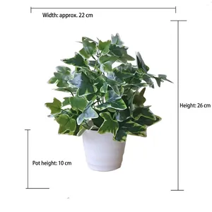 Artificial variegated ivy plant in white pot with dimensions width 22cm and height 26cm