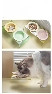 Ergonomic tilted pet ceramic bowl with a clear acrylic stand and lovely cat print