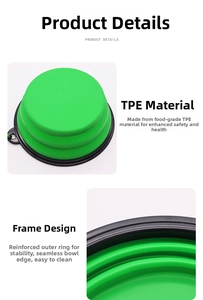 Detail of green collapsible TPE pet bowl featuring reinforced rim and seamless design