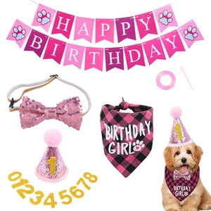 Pink pet birthday party set with sequin hat, bowtie, girl bandana, and glitter numbers