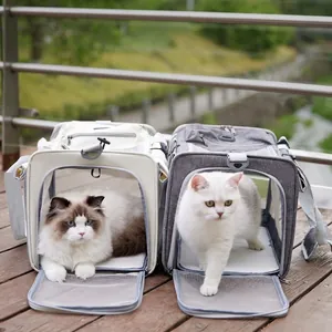 Breathable cat carrier bag for outdoor travel with mesh window and adjustable strap
