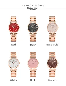 Bowknot style ladies watch set showing six colors with rose gold mesh band