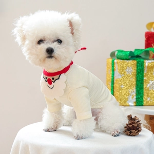 Detailed macro of white ribbed dog sweater with red Santa Claus collar on small white dog