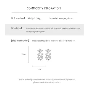 Guide des tailles montrant 2x1cm et 5.4g pour ces boucles d'oreilles en zircon