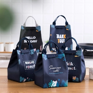 Insulated lunch bag with cute graphics for office or school, portable meal carrier