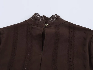 Detail of dark brown blouse featuring lace collar, pearl buttons and embroidered stripes