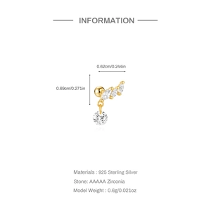 Specifications of S925 sterling silver heart earrings with AAAAA zircon stones information