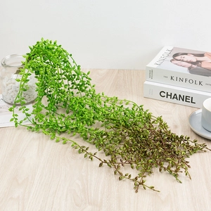 Close-up of artificial hanging succulent vine for interior wall decor in glass bottle