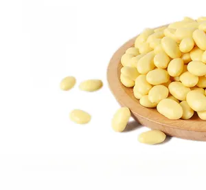 Macro detail of realistic yellow soy bean food model displayed on a light wooden tray